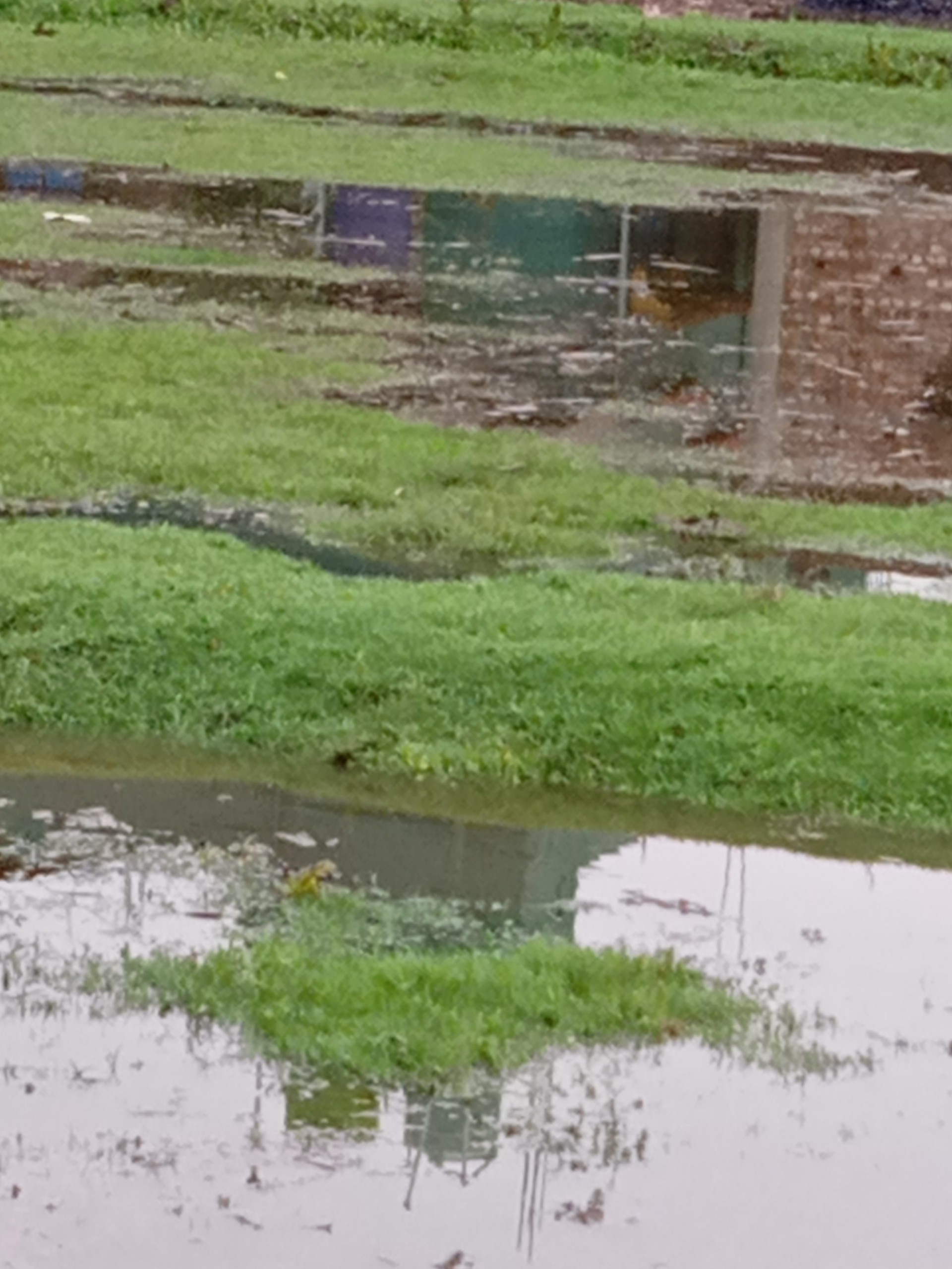 গন্ধর্ব খুঁজে পাই's image