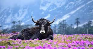 তেইশ কিলোমিটার's image