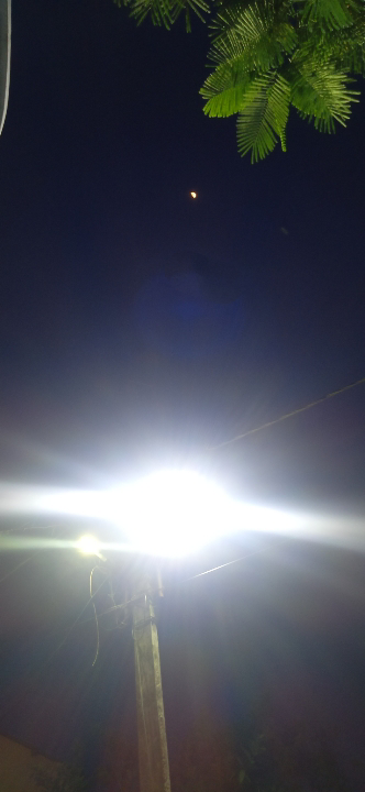 ল্যাম্পপোষ্টের আলো's image