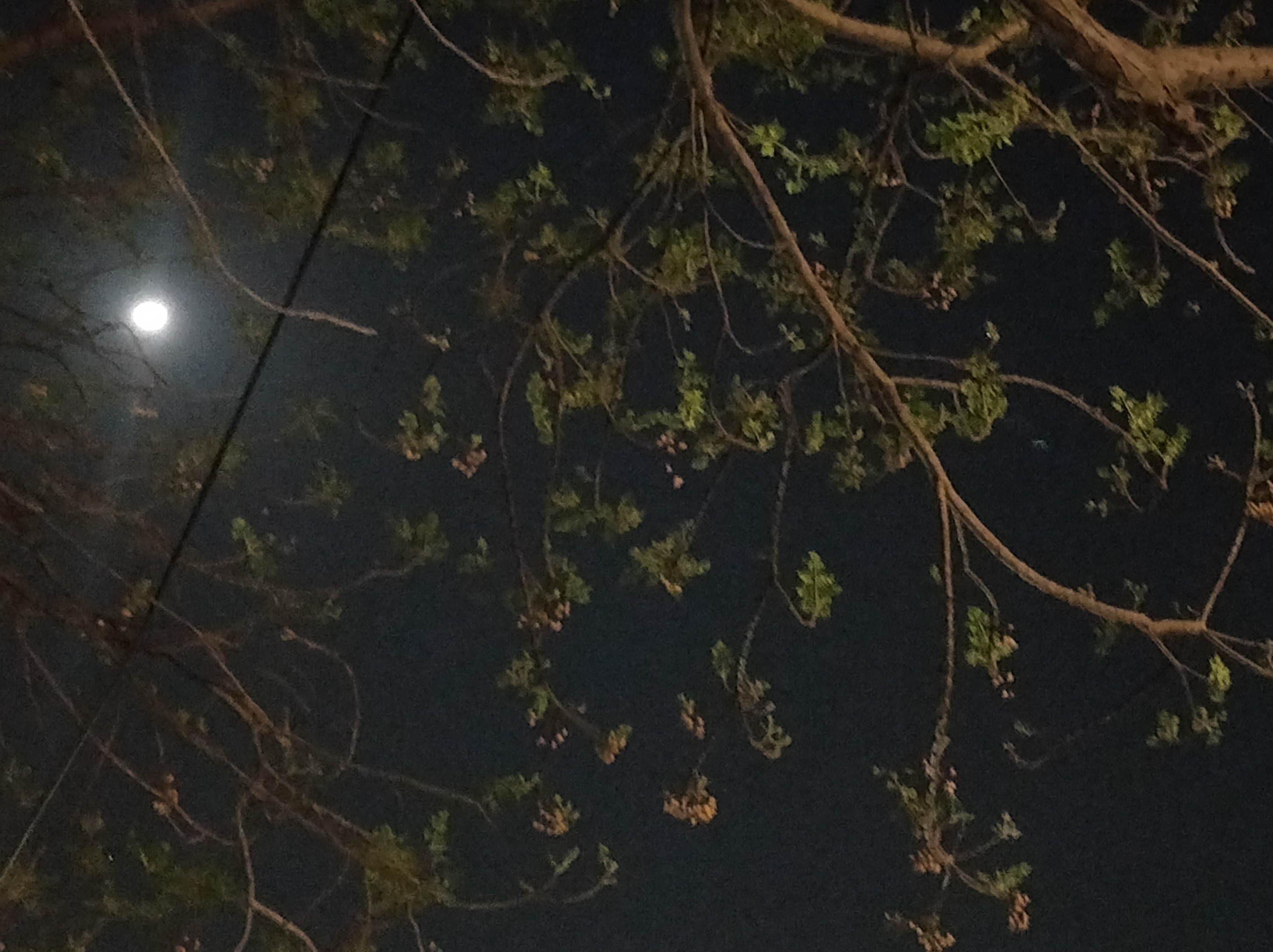 तेरा होना's image