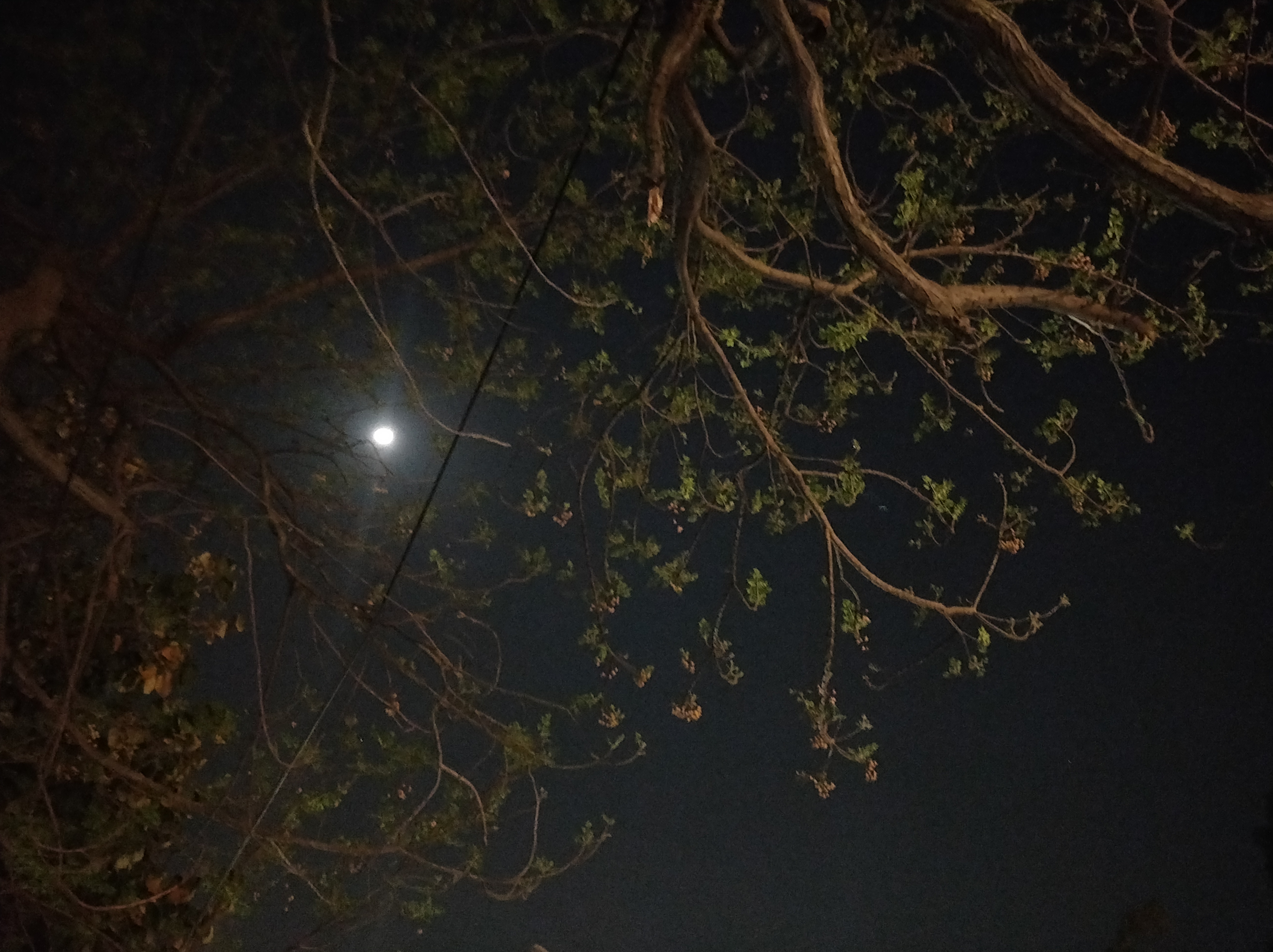 तंग हूँ ..