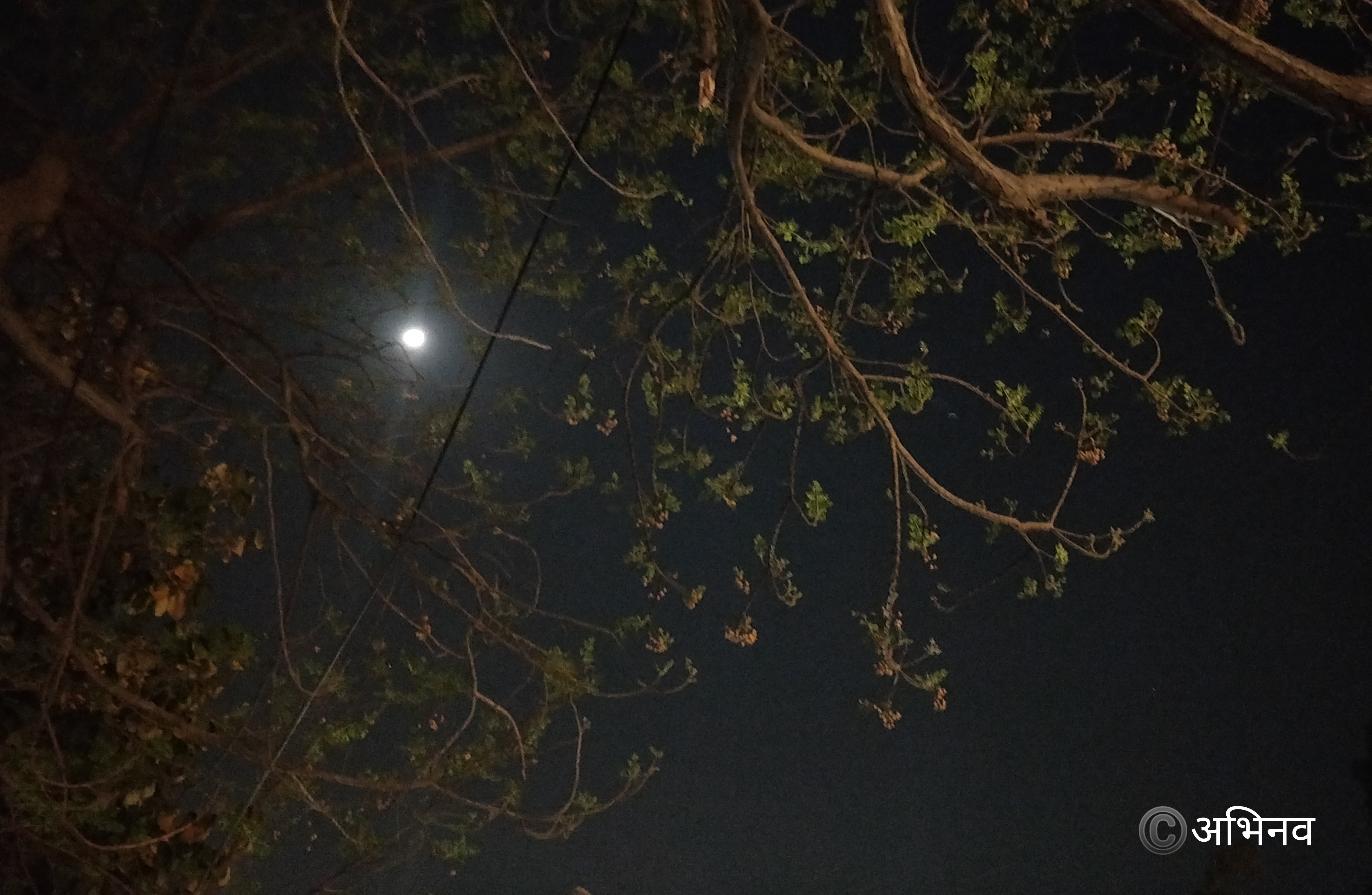 मेरी मुहब्बत