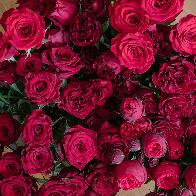 Valentine's Day's image