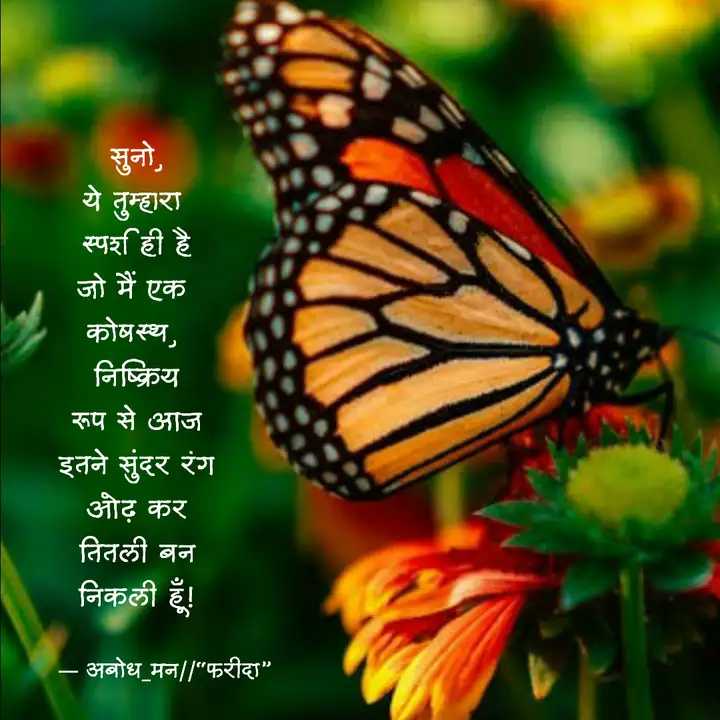 तितली's image