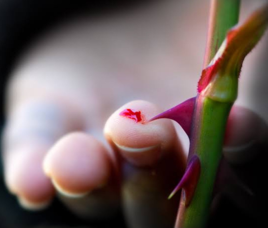 दुनिया ये सारी, शमशान हो जाए तो अच्छा's image