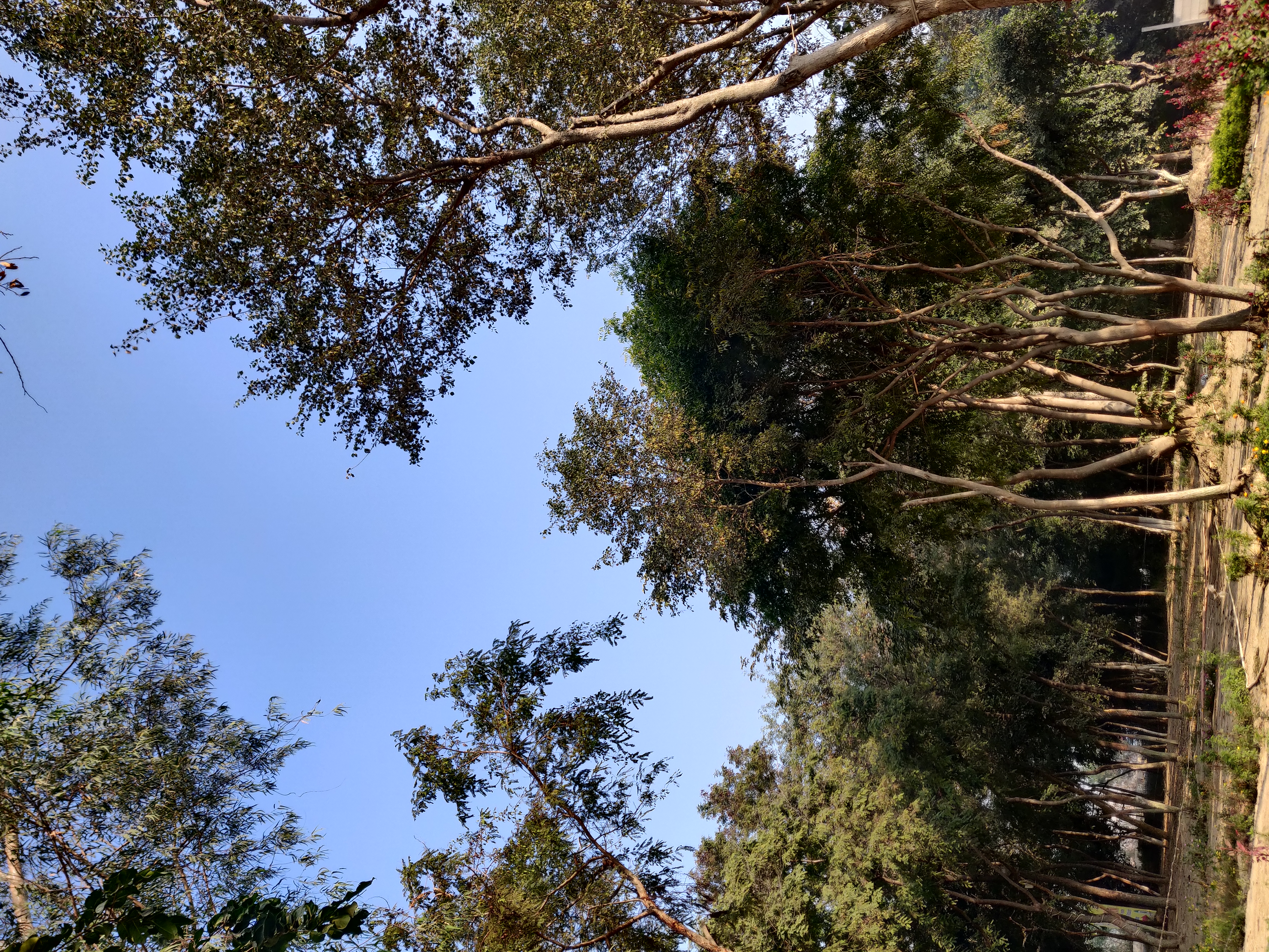 ज़माना's image