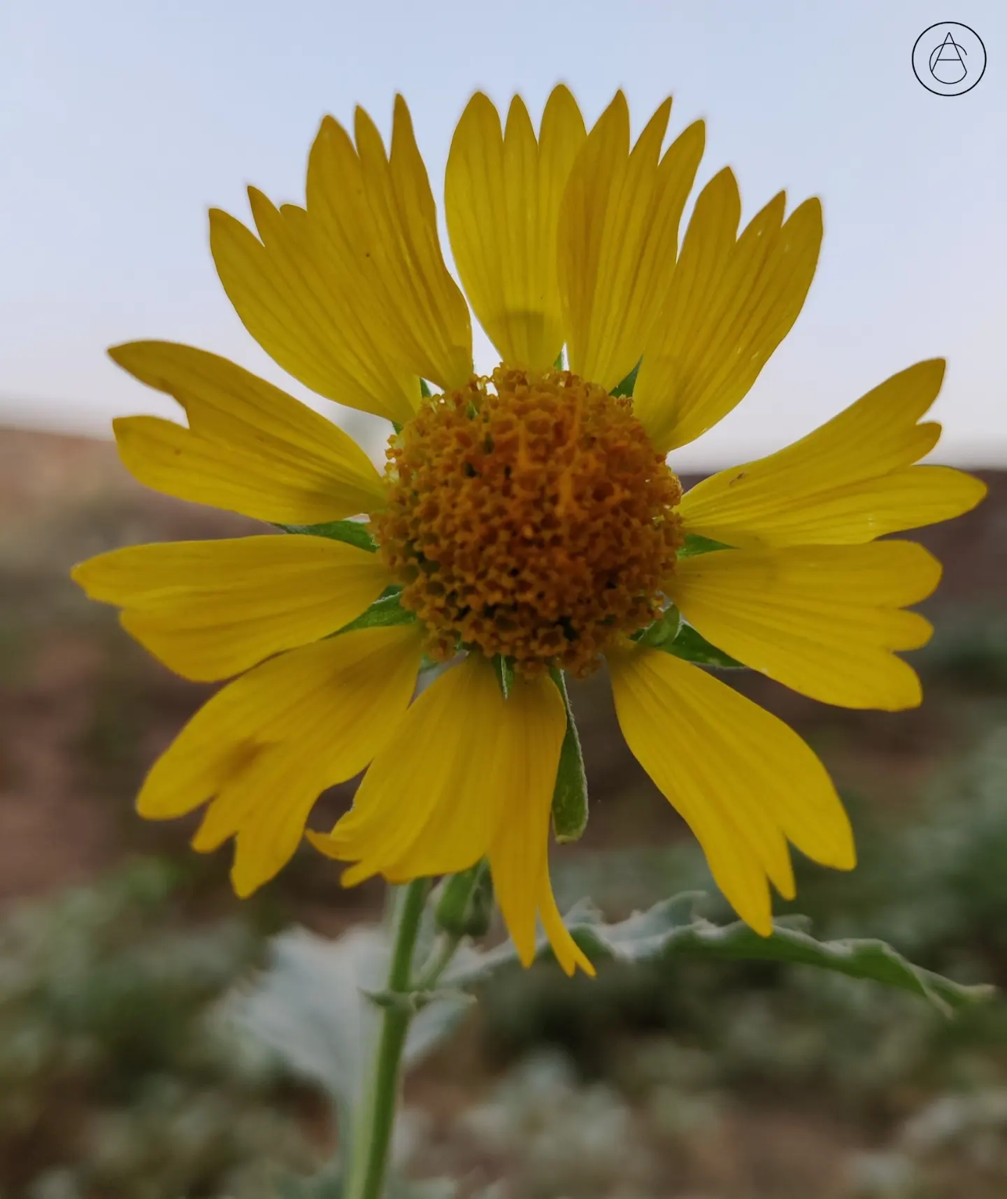 अजीब तौर कि दुनिया...'s image