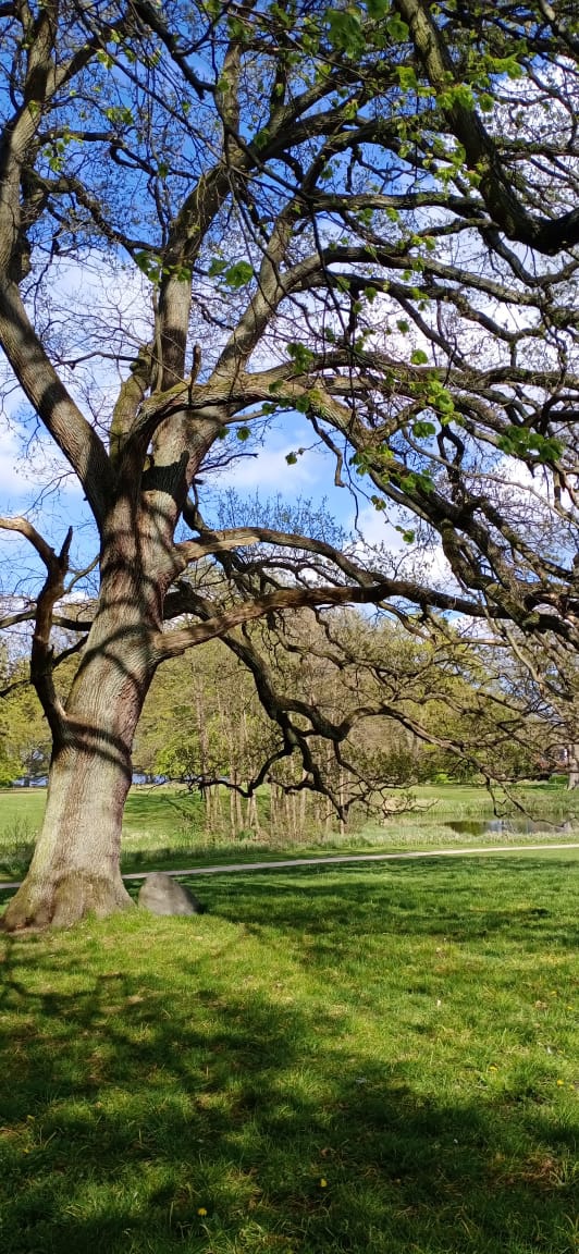 इतिहास का परिहास's image