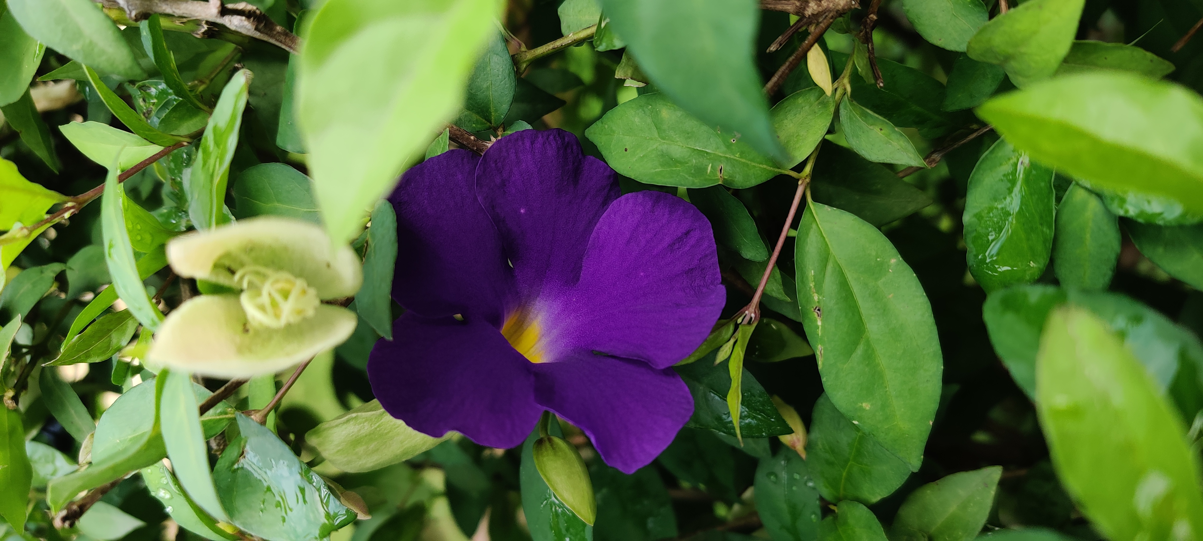 ✨ तेरी तृष्णा ✨'s image