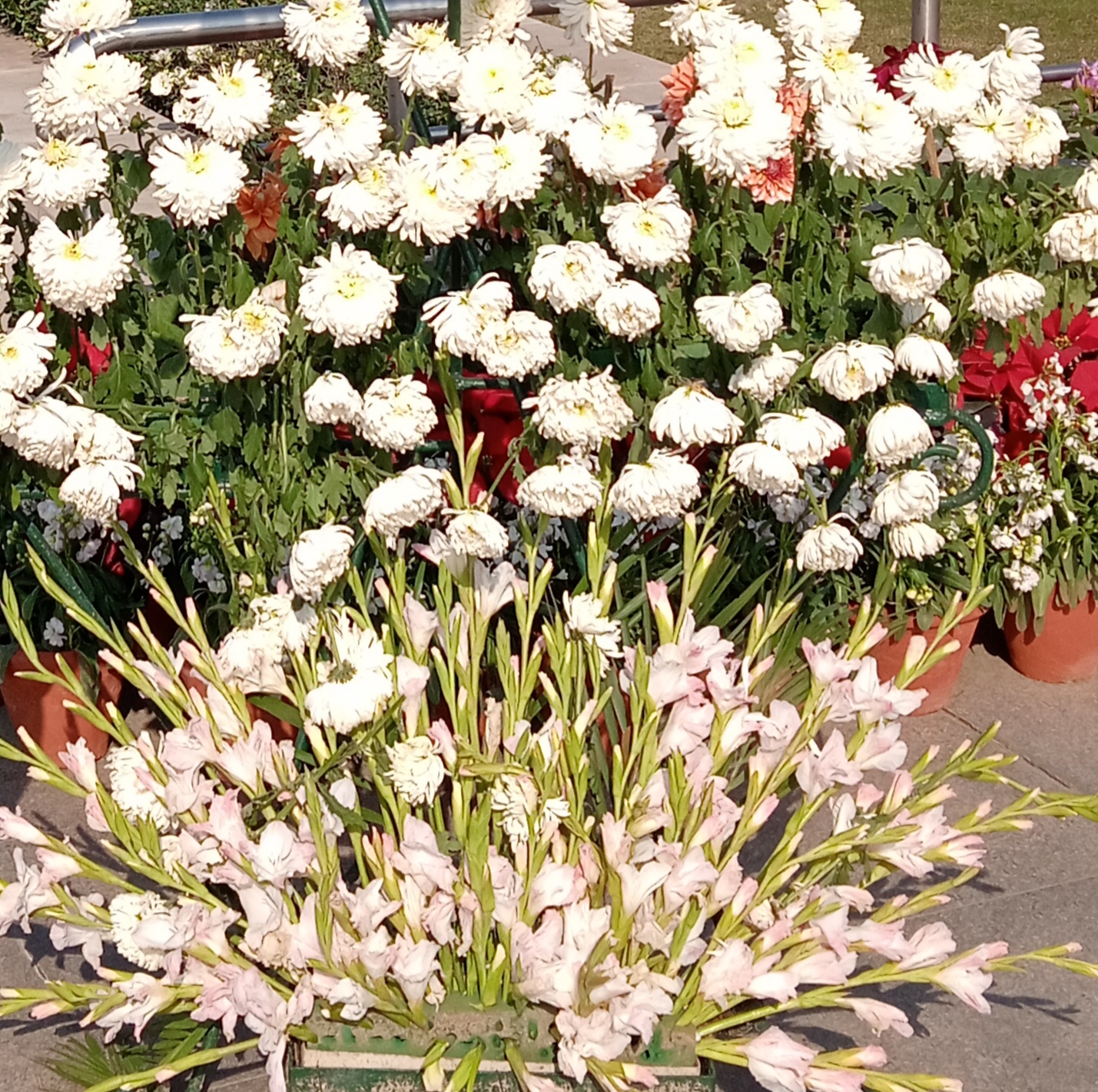 लता दीदी's image