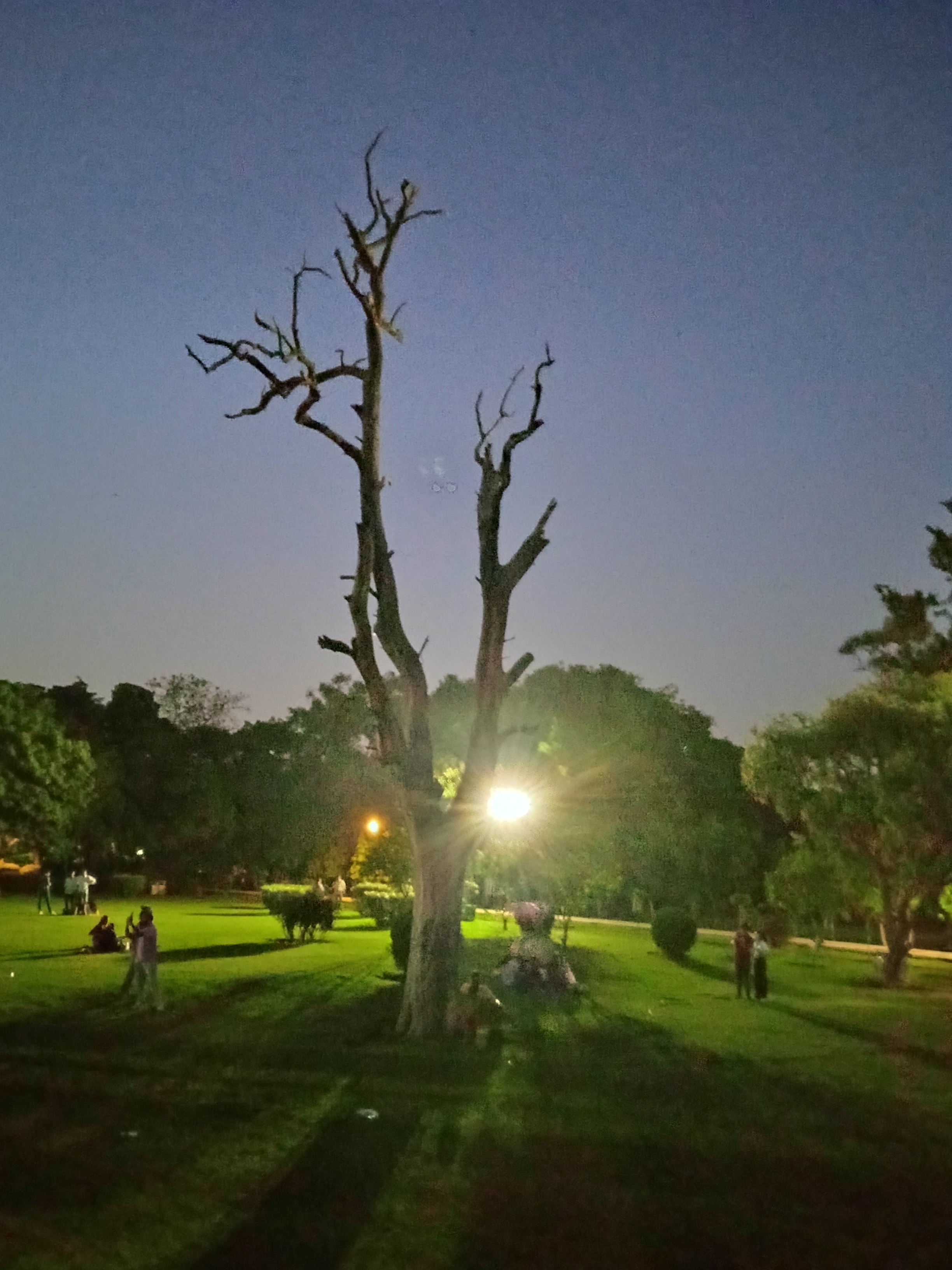 बंजर और बेजार's image