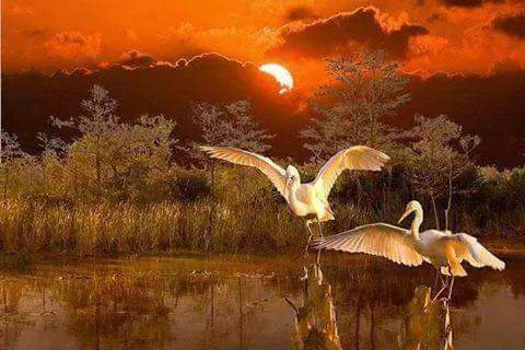 त्रस्त हूँ's image