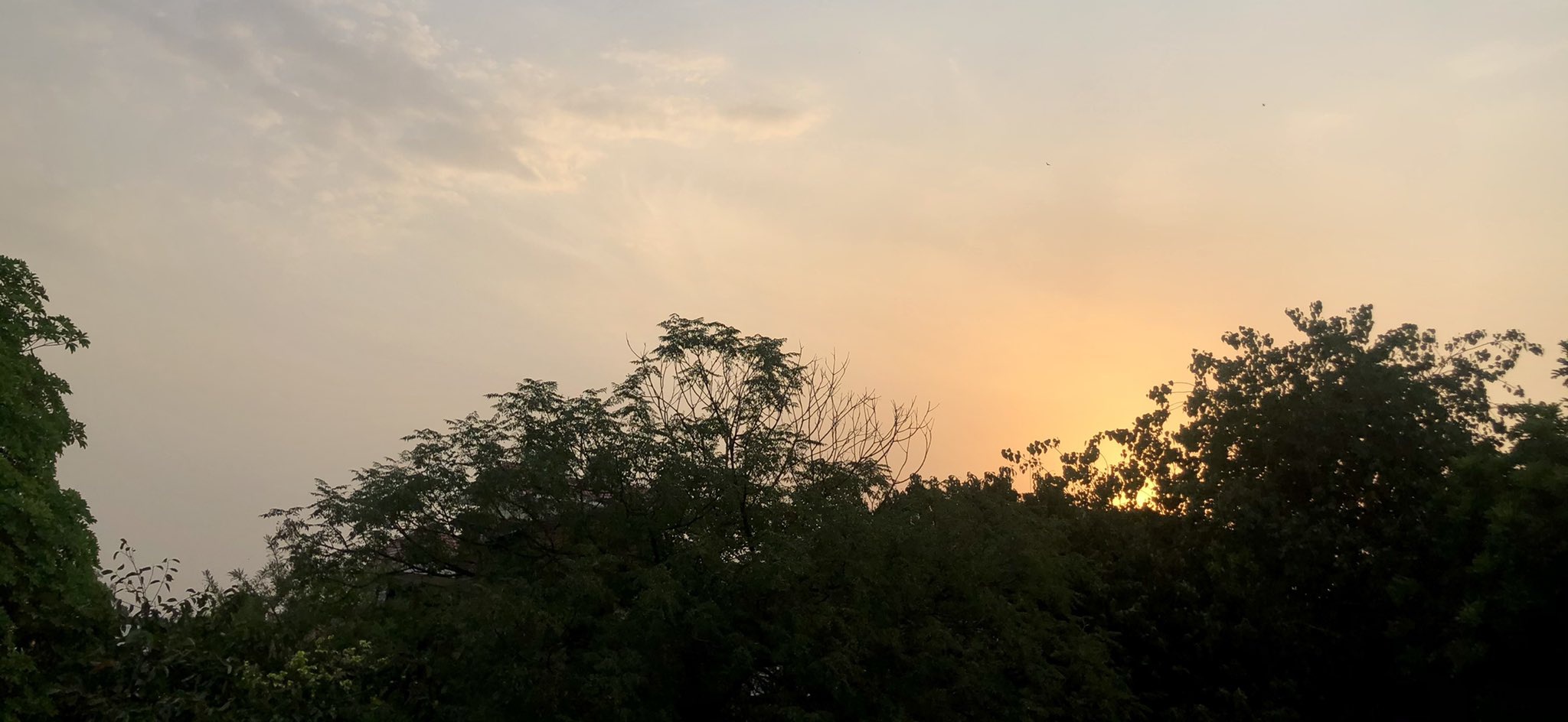 पहली कविता
