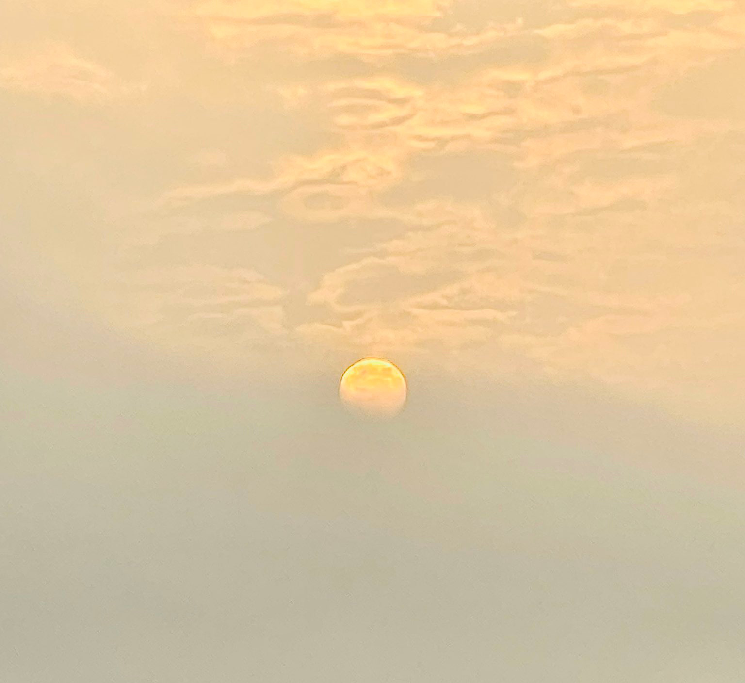 आपबीती's image