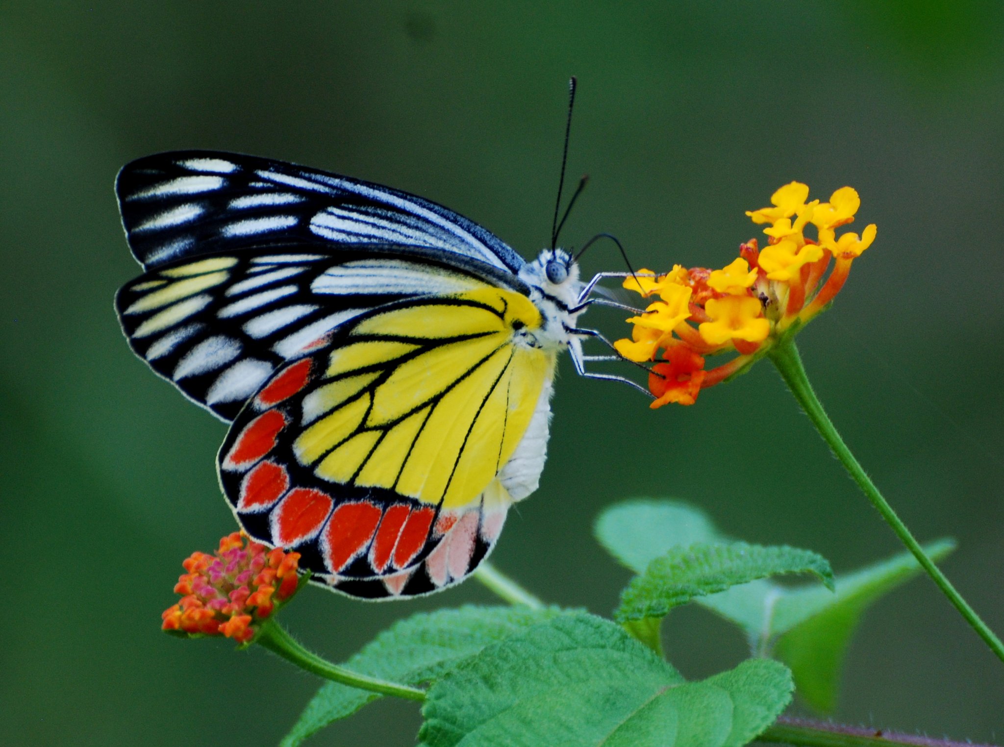 जिंदगी बस वो जिंदगी है's image