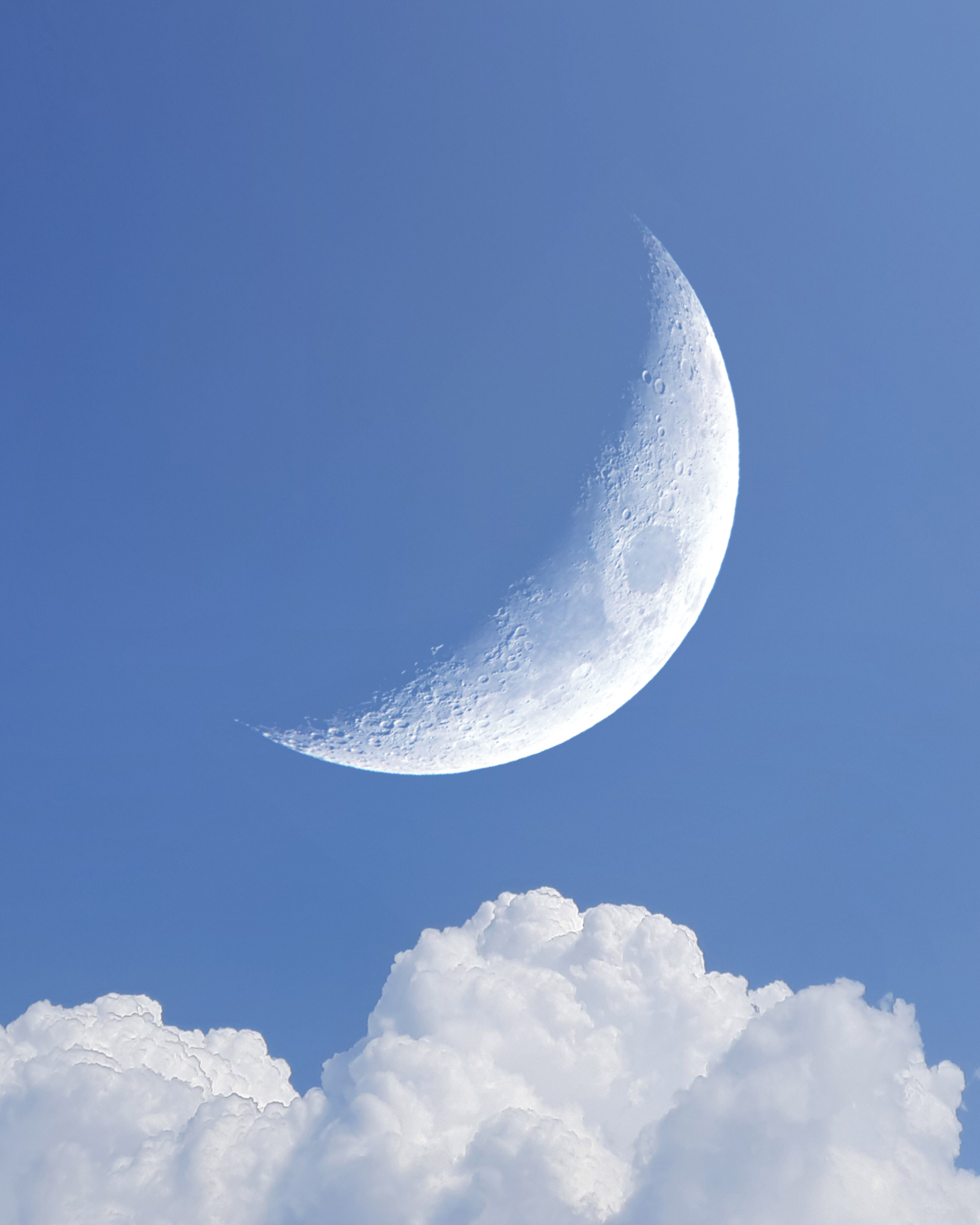 आपकी दीद, मेरी ईद's image