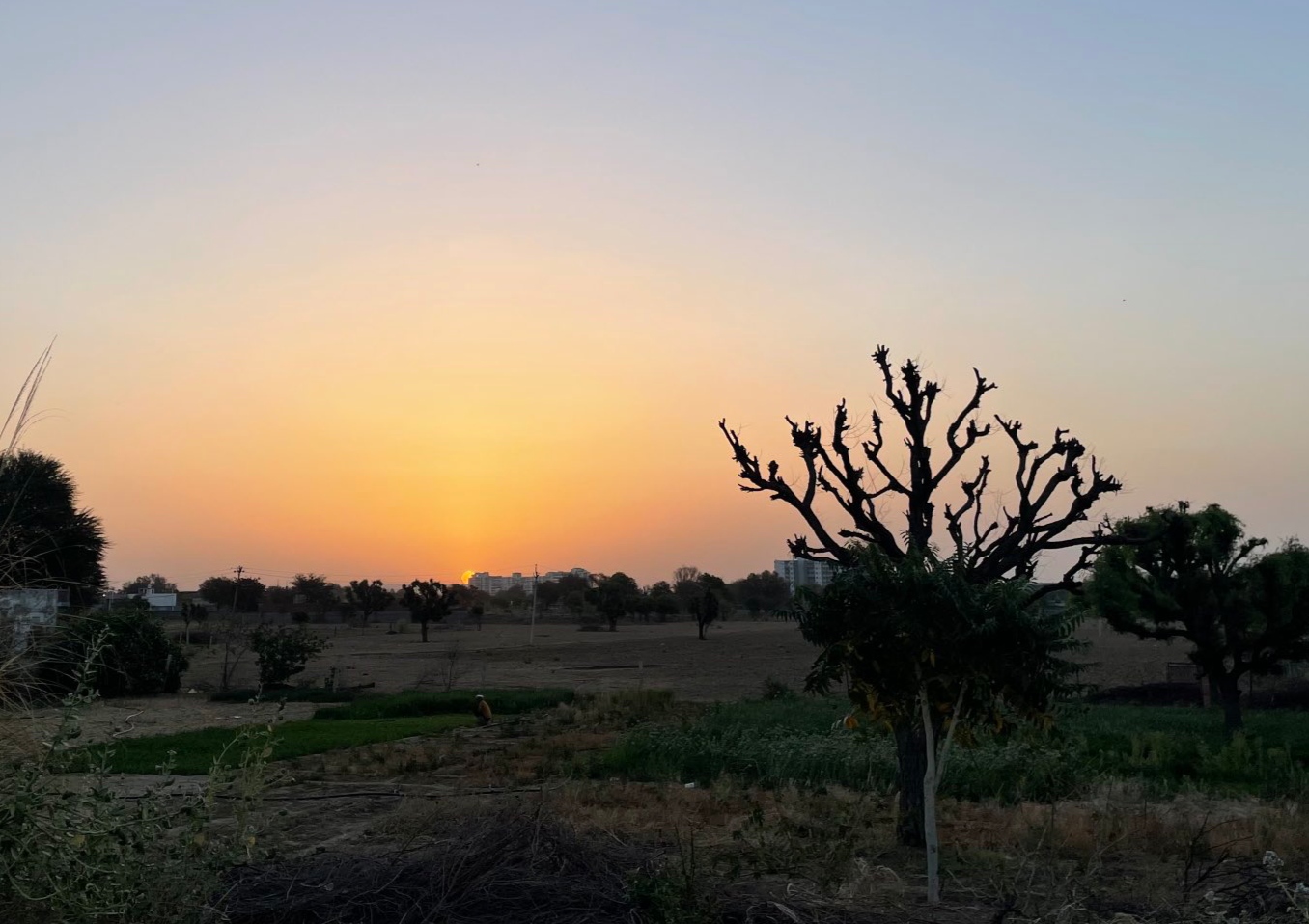 बहुत कुछ कहती हैं...