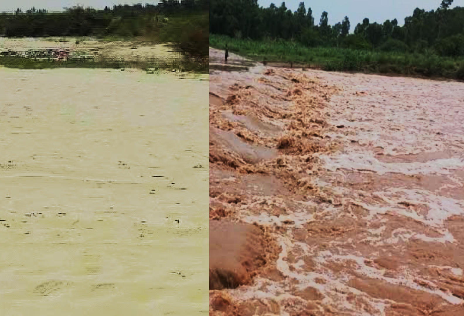 बरसाती नदी's image