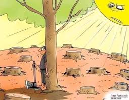 मैं धरती बोल रही हूँ's image