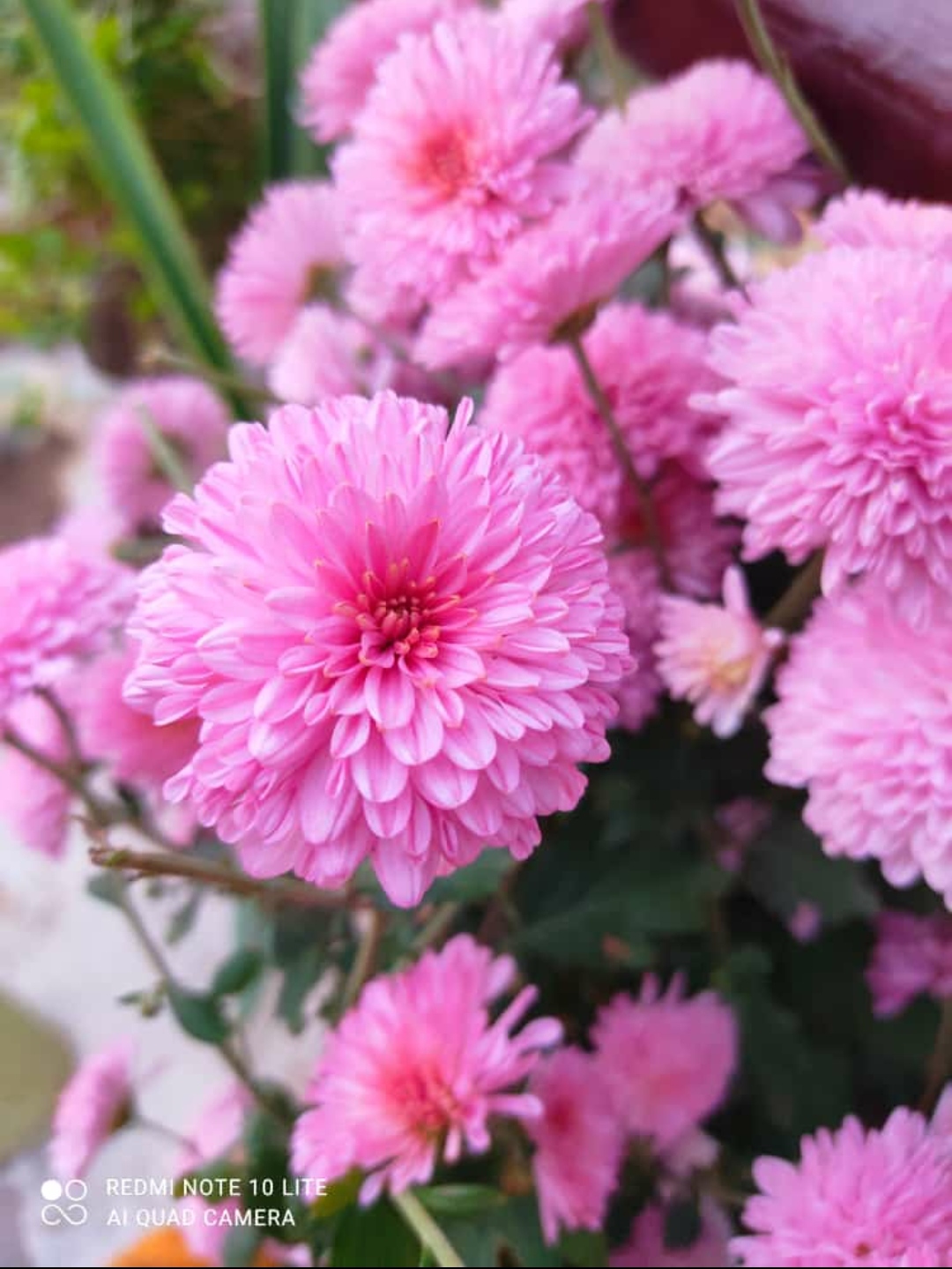 प्रेम का इतिहास ~'s image