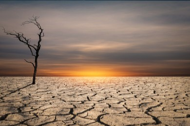 मीनारें न रही's image