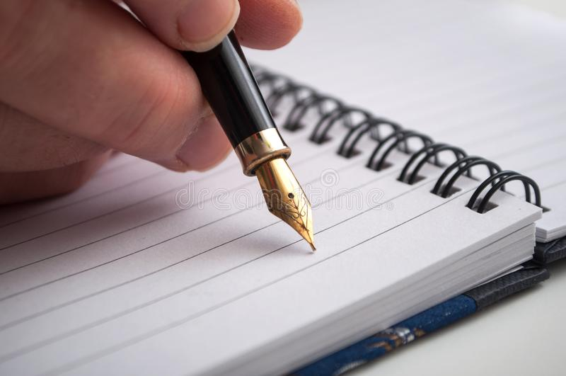 कविशाला's image