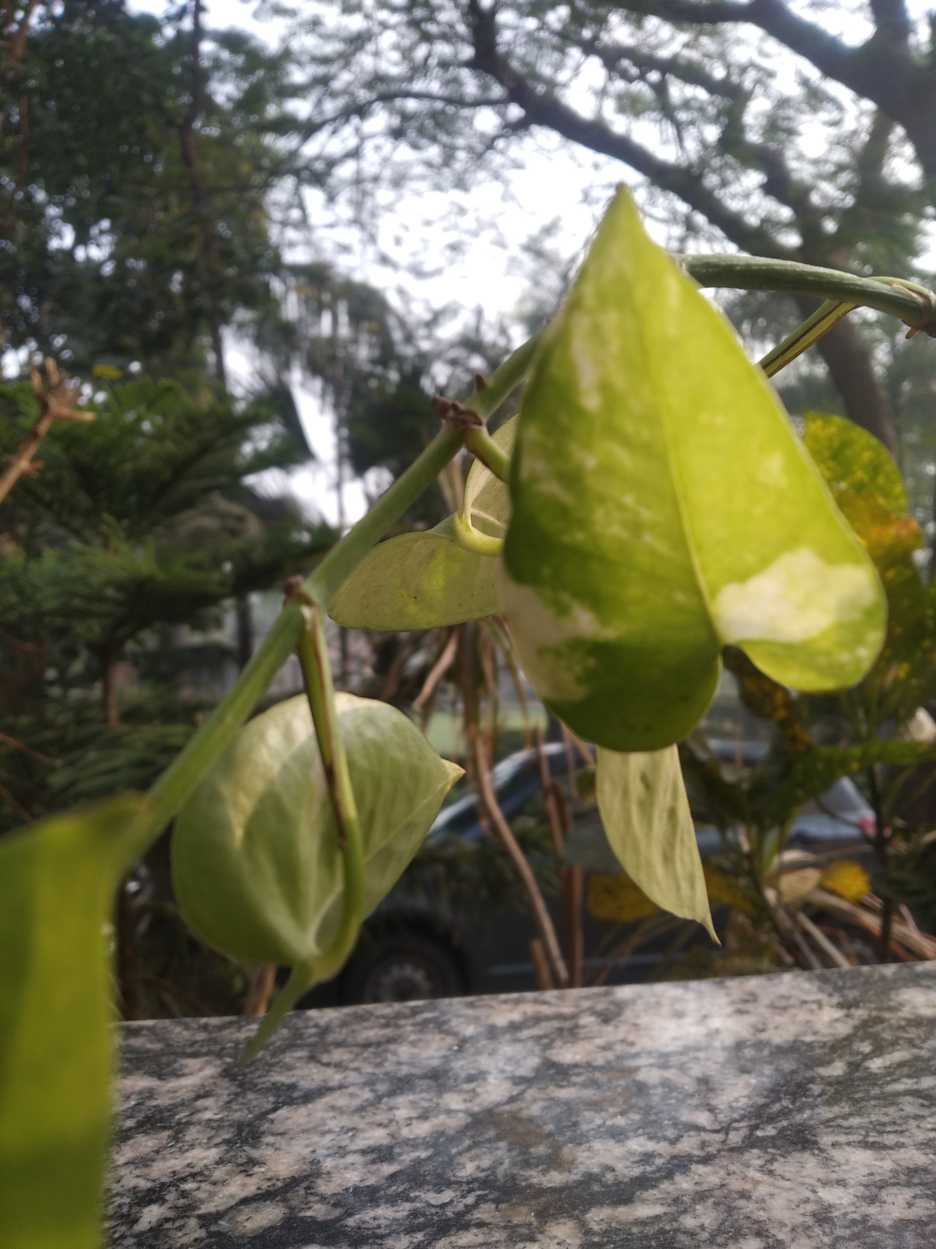 जब जो अच्छा लगे