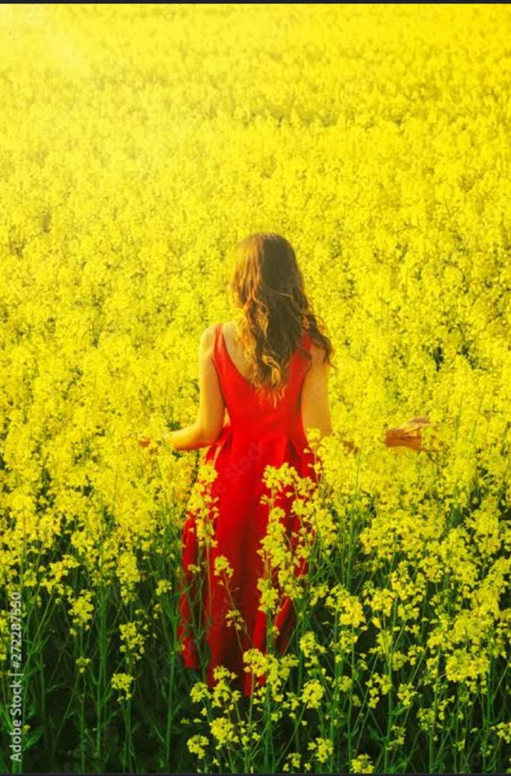 इक नई रोशनी's image