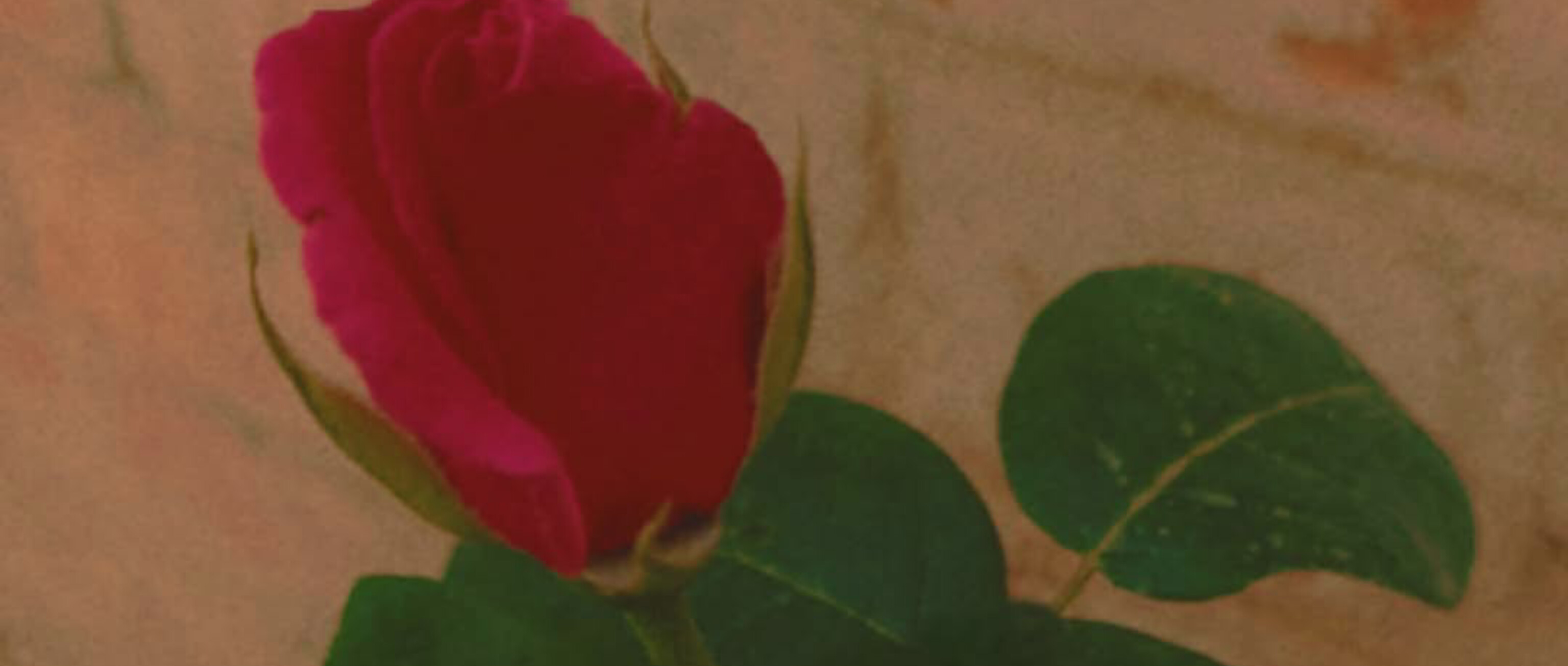 इच्छाएं's image