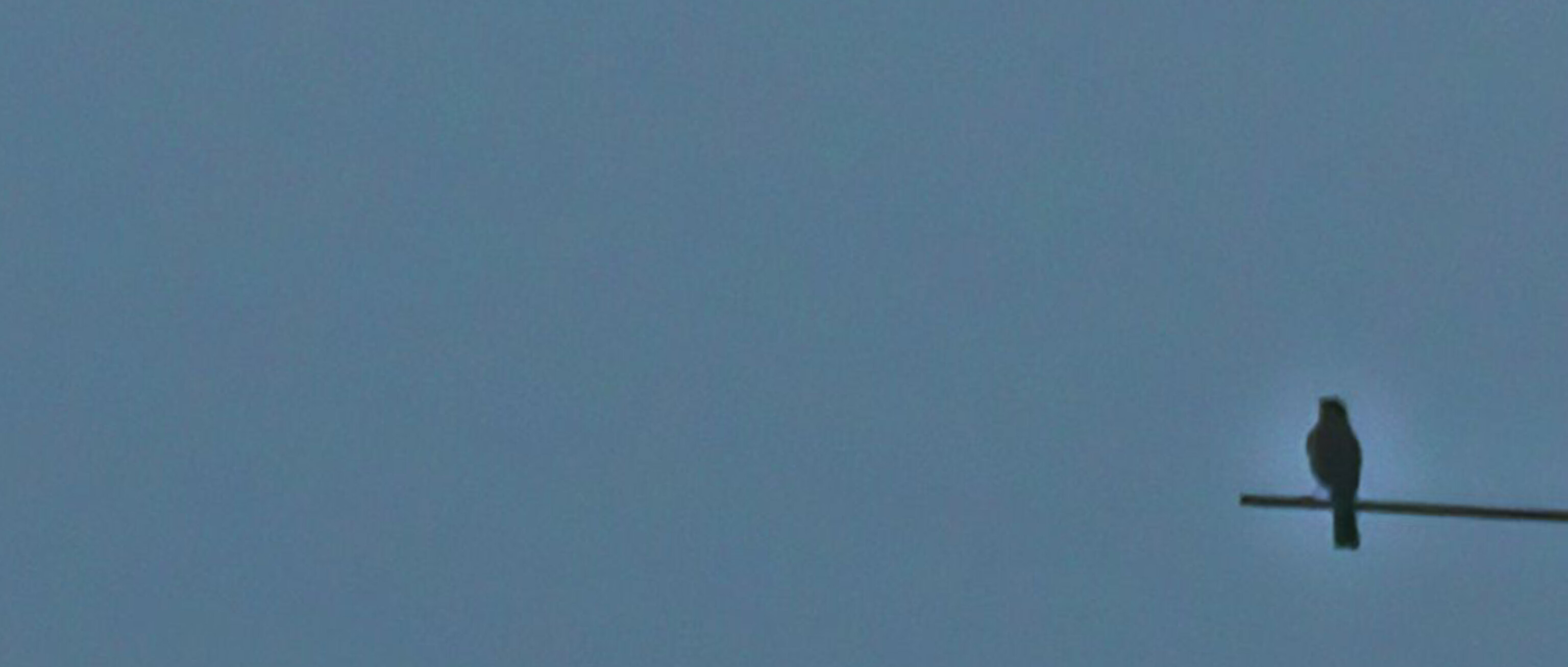 चांद सूरज जैसे's image