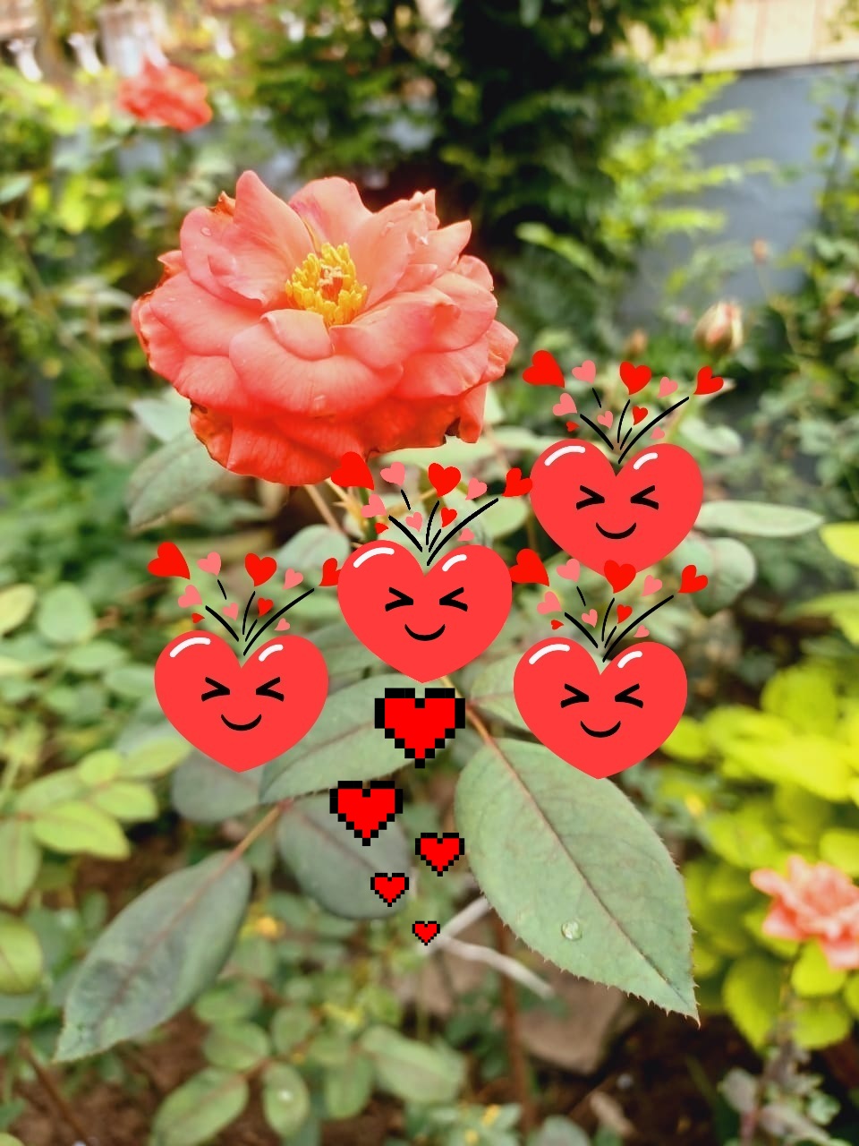 ❤ दिल की बात❤'s image