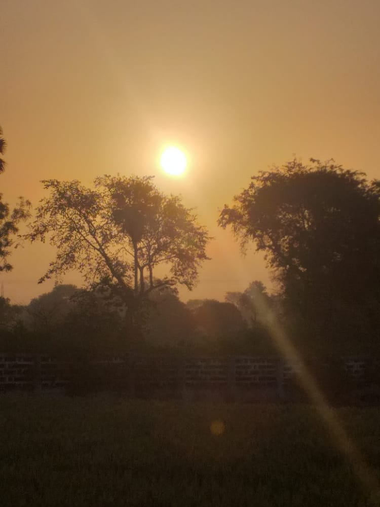 प्रकृति : हमारा भविष्य