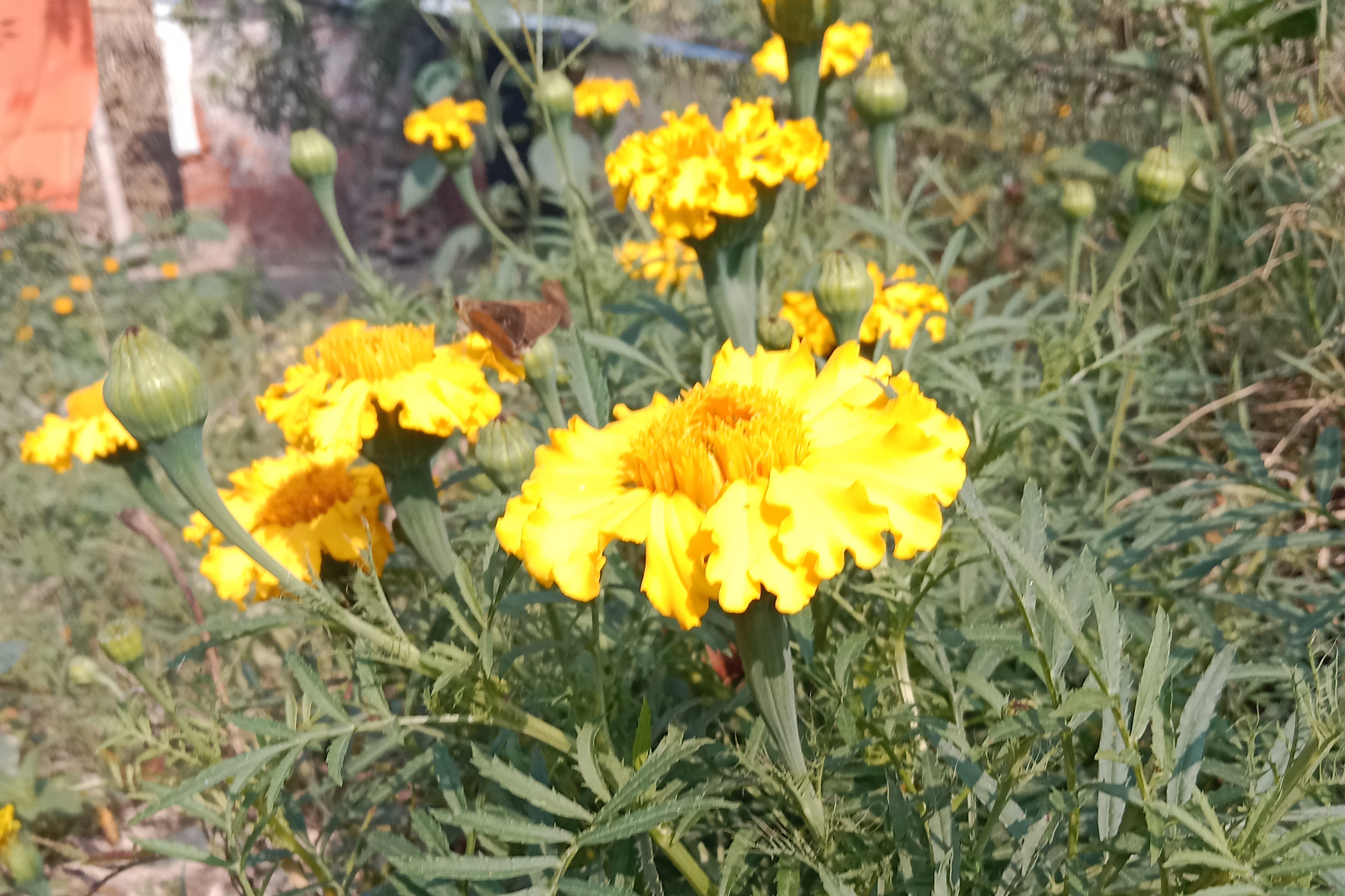 सफर रुक सा जाता है's image