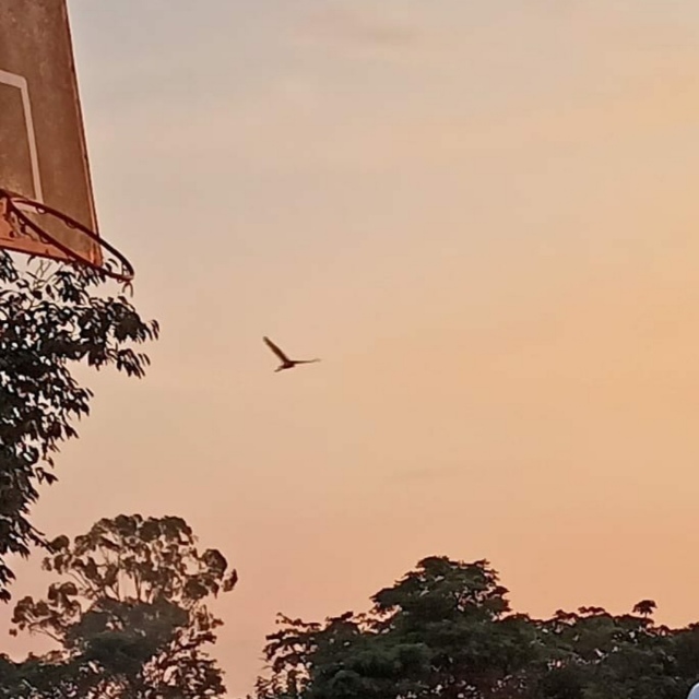 वहम