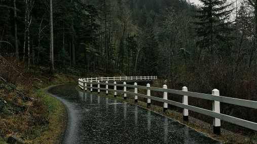 बहार क्या क्या है's image