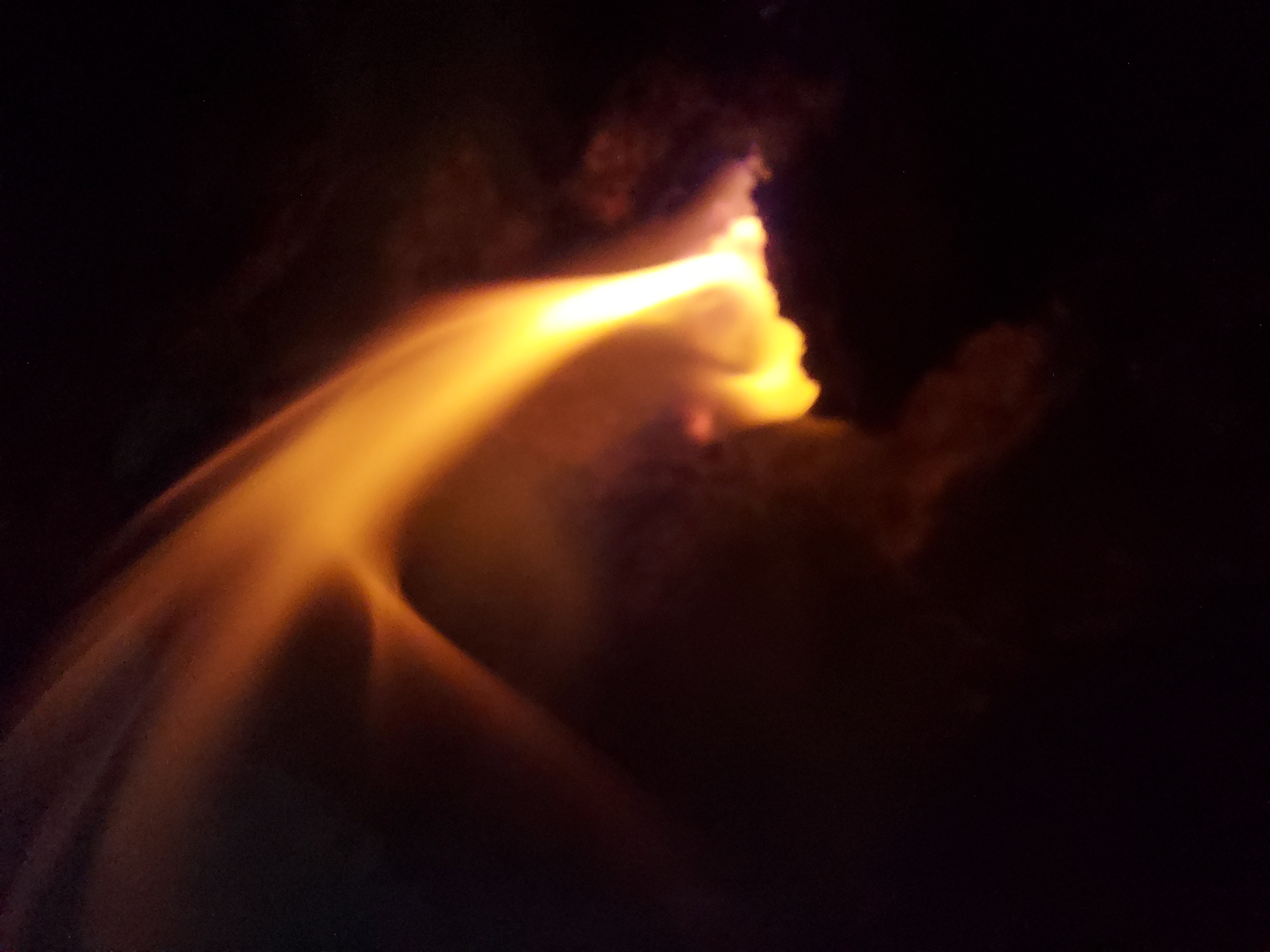 अंधमोह's image