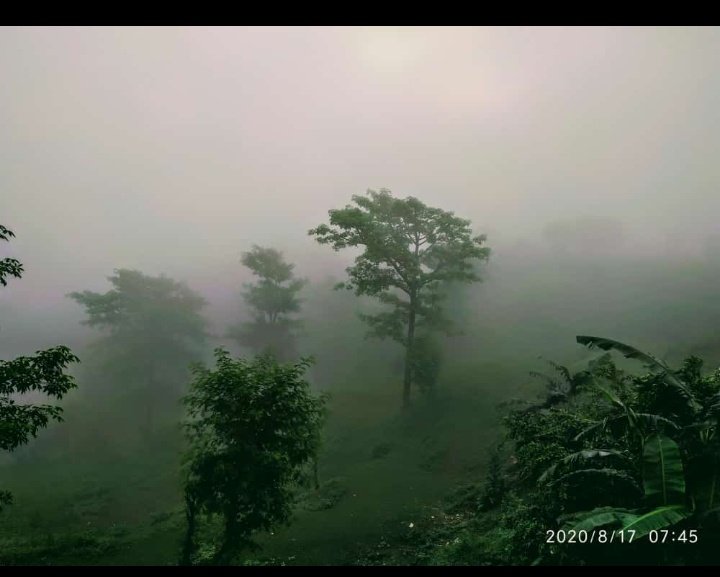 आलोचना