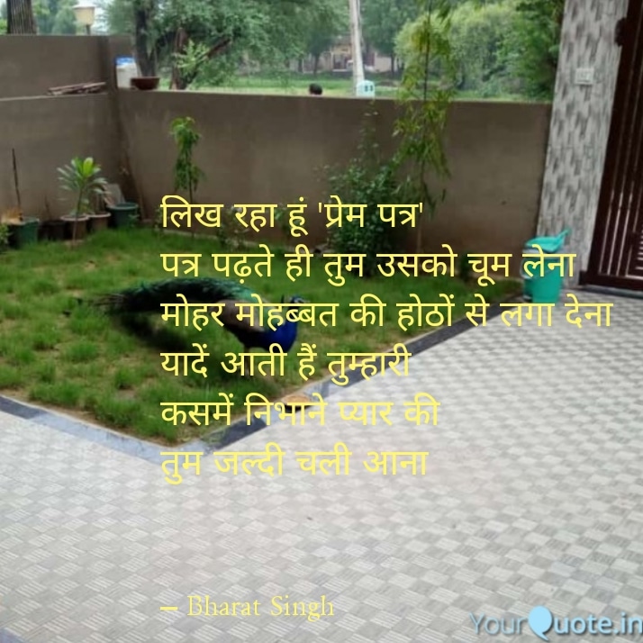 हम प्यार करेंगे जंगल में's image