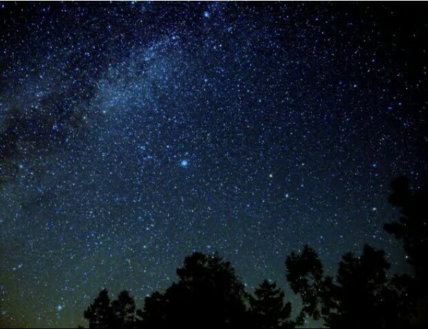 देखो's image