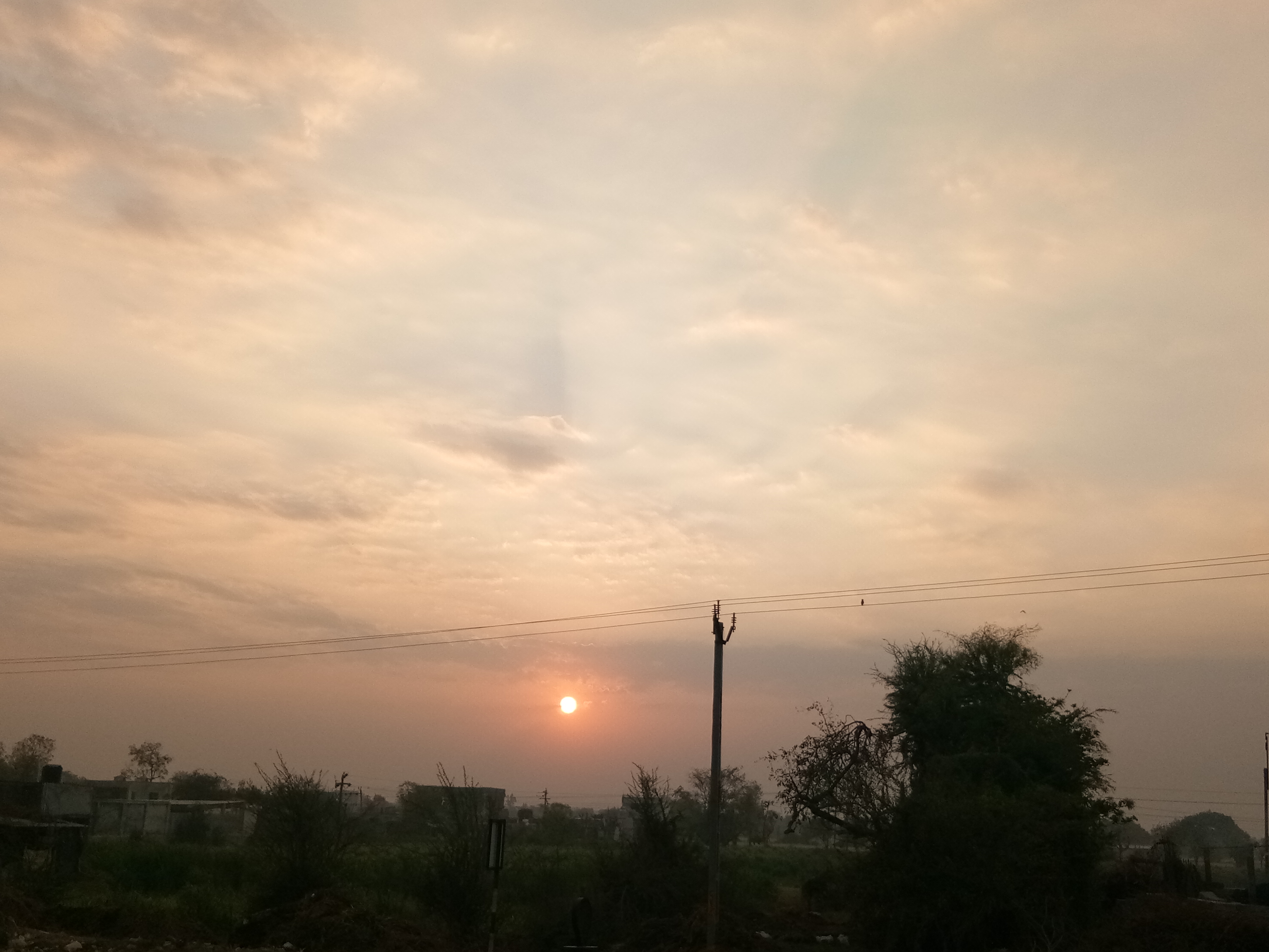 मृगरंजनी's image