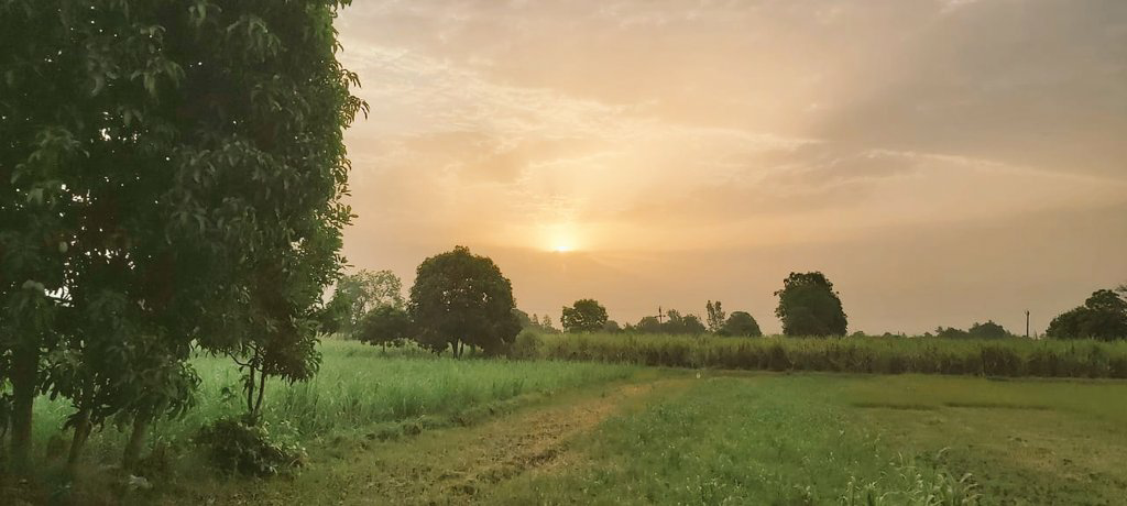 शायरी's image