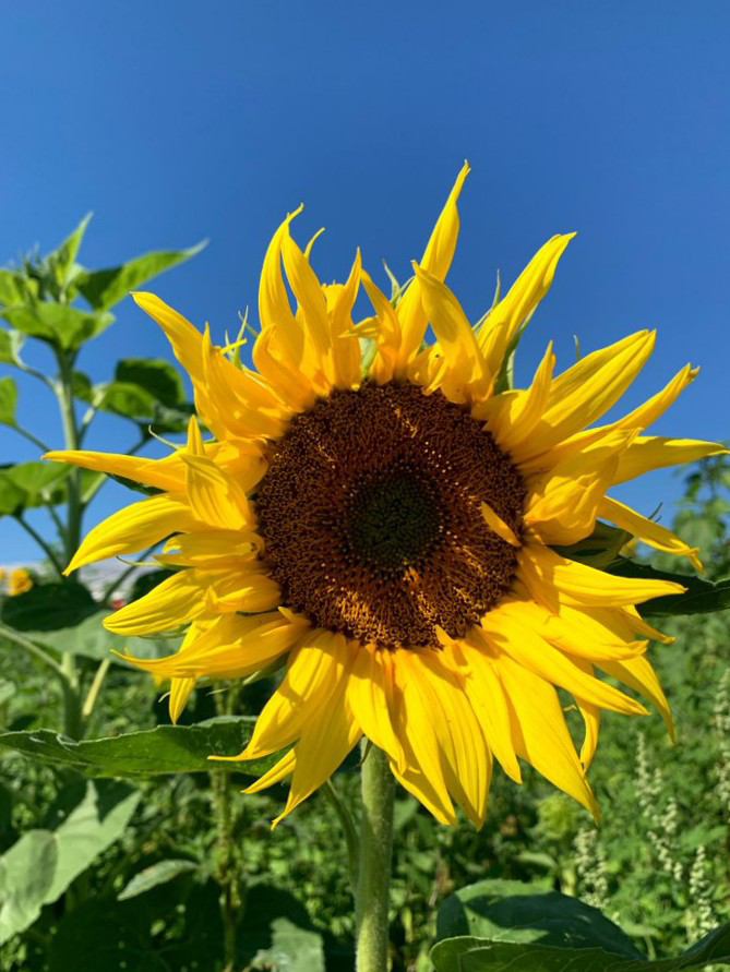 ज़रा-ज़रा सी बातों में.....'s image