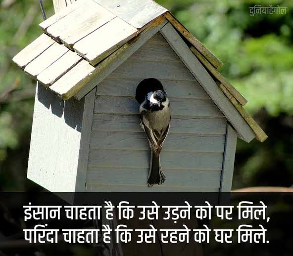 इन घरों में बताओ अब कौन रहता है?'s image