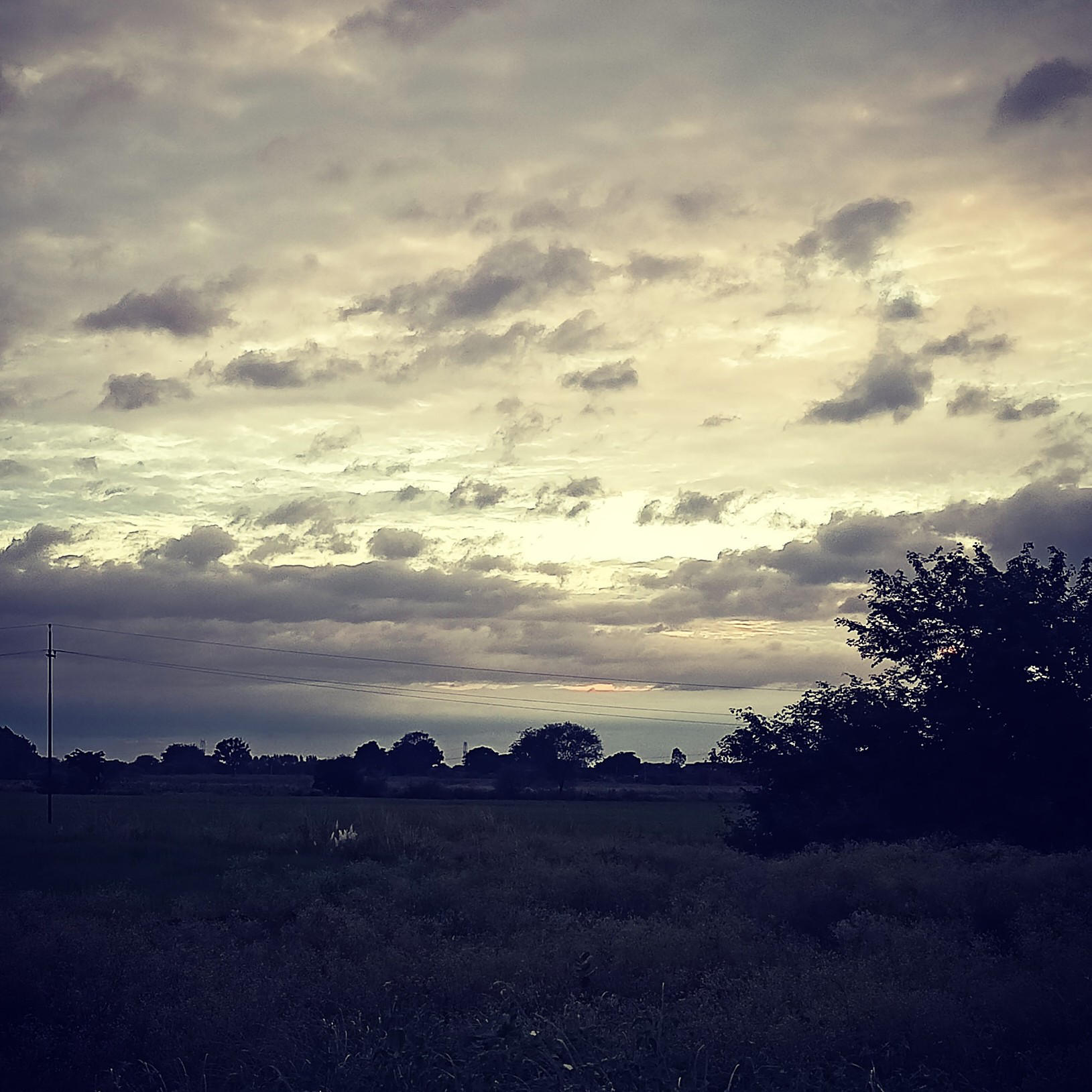 एक ज़ख्म's image