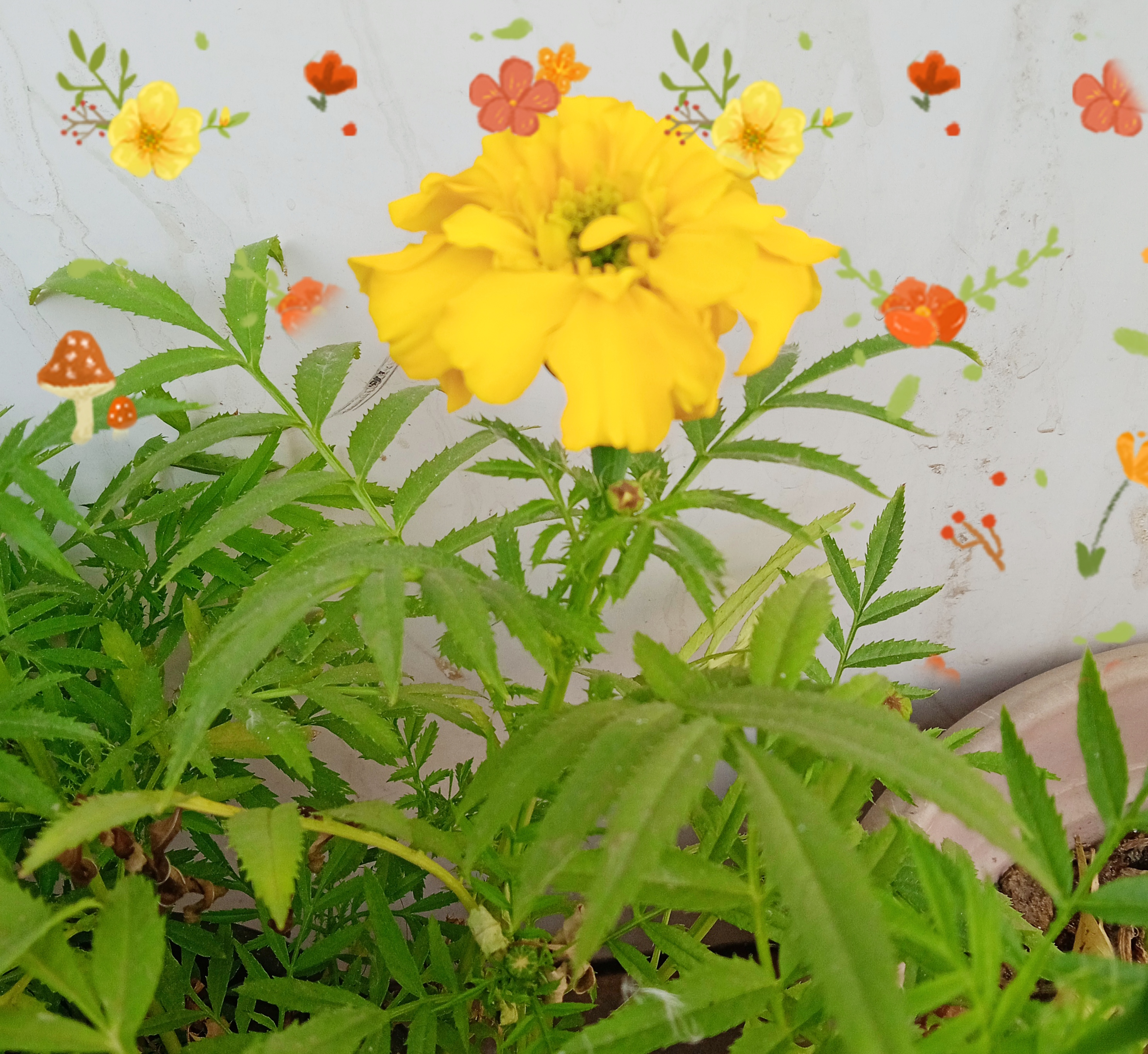 जीवन का मधु: भाग १'s image