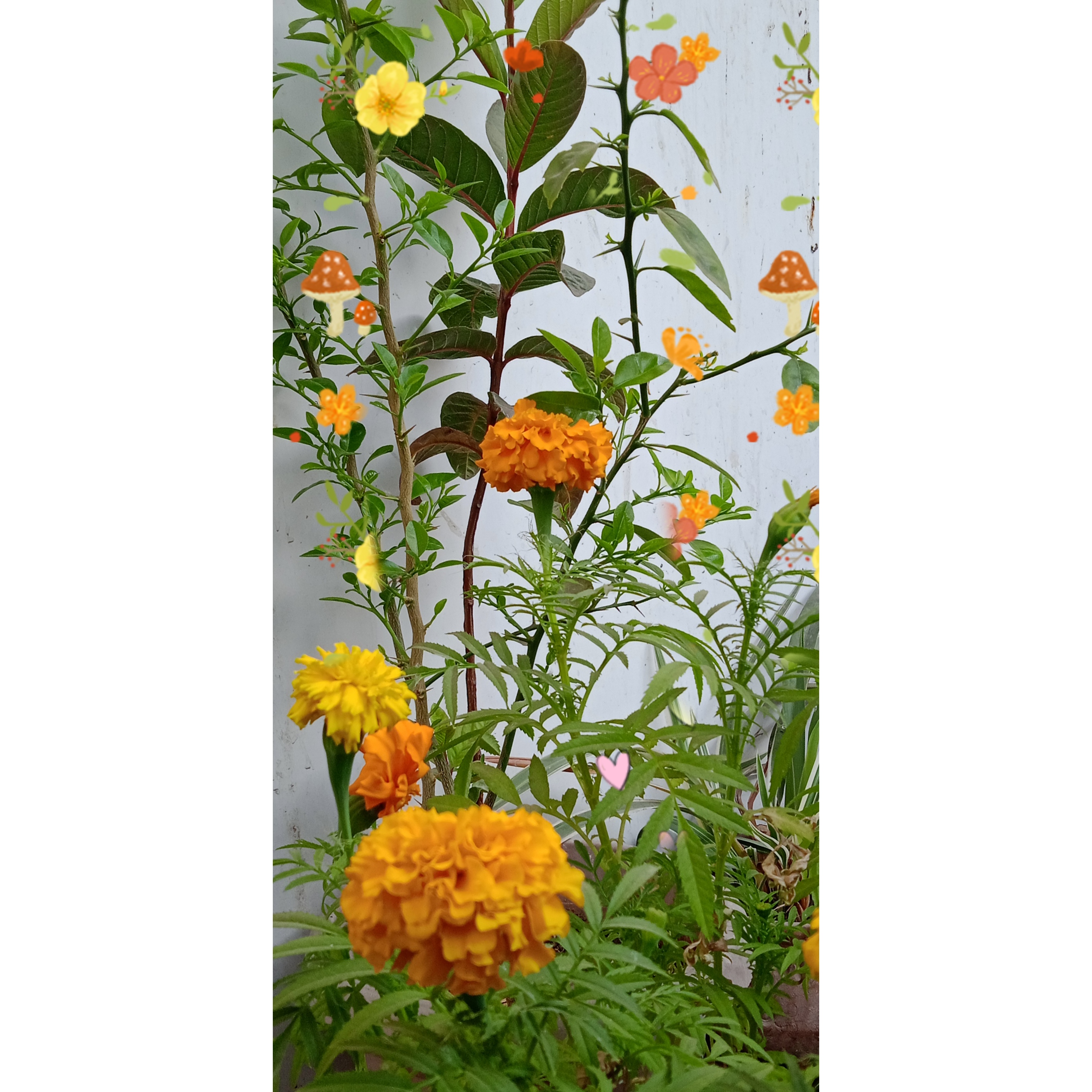 जीवन का मधु: भाग २'s image