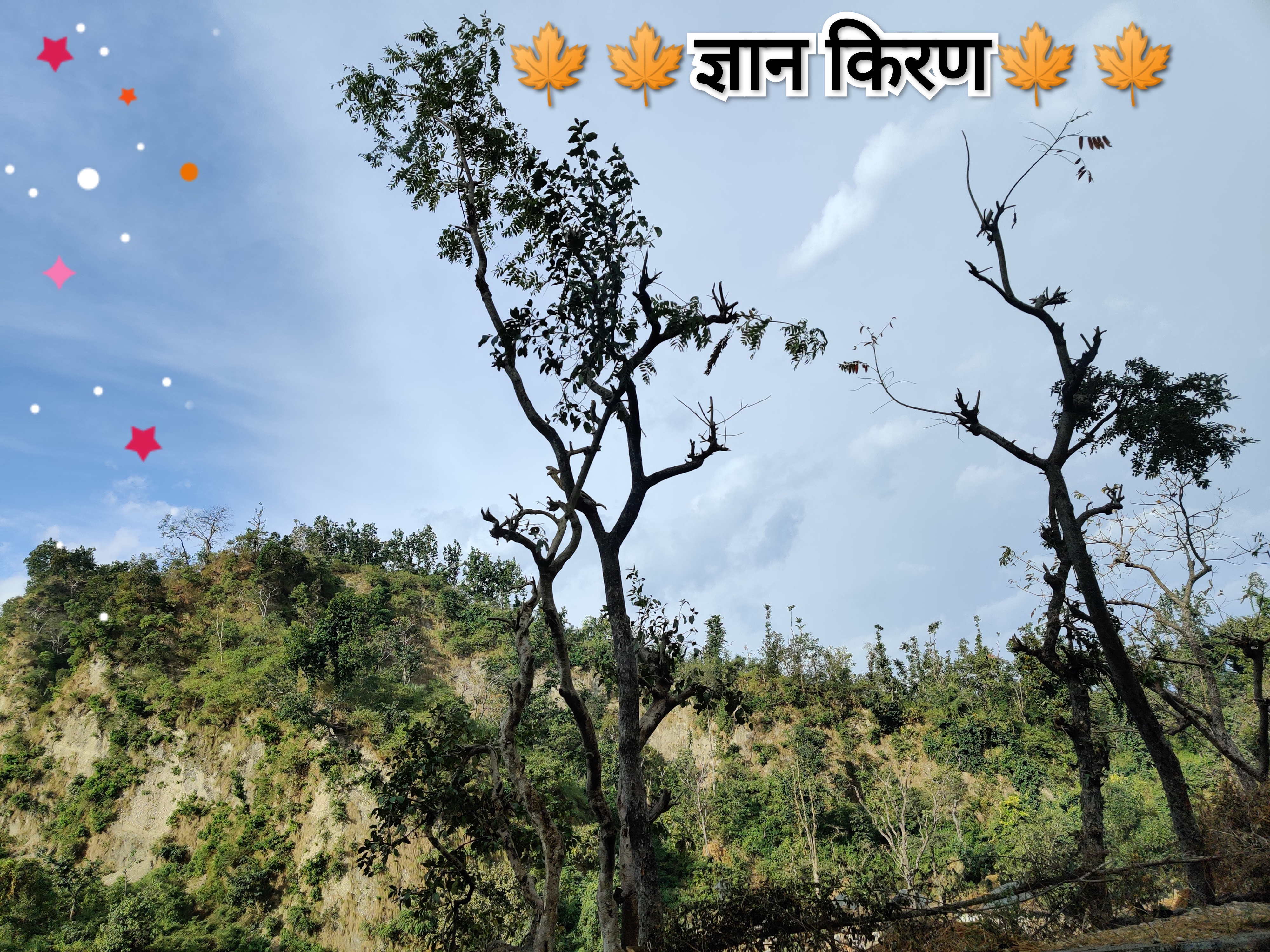 ज्ञान किरण's image