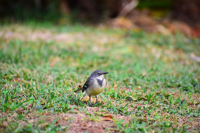 All is a Wacky Work of Fiction's image