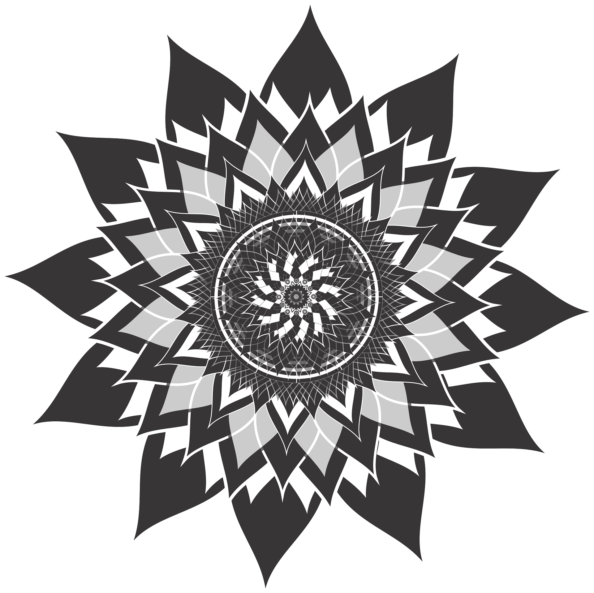 शांति's image