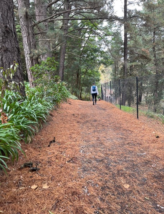 चलते रहो's image